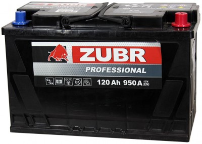 ����������� ZUBR Professional 120Ah (950A)