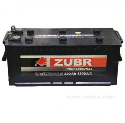 ����������� ZUBR Professional 220Ah (1300A)