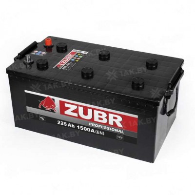 ����������� ZUBR Professional DOUBLE 225Ah (1500A)