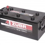 ����������� ZUBR Professional 190Ah (1250A)